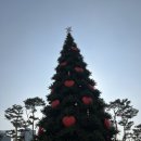 파워마켓 | 잠실 크리스마켓 오픈런(후기+ 굿즈+먹거리 소개위주)