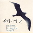 갈매기의 꿈 이미지