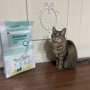 펫츠다이닝(pet's dining) 이미지