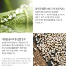 딴딴
