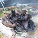 엄마네식당 이미지