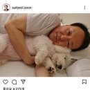 토리멍 이미지