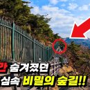 서울 도심속 숨겨진 숲길 탐방 여행 | 지하철역 출발 | 걷는 여행 이미지