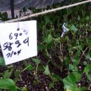 놀이터목장 이미지