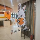 삼도2동 탑동해변공연장 | 제주모찌맛집 제주복이당｜동문시장 근처 생과일모찌 신상 디저트 후기