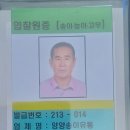 양양송이버섯 이미지