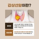 서울동행요양병원 네이버블로그
