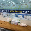 꿈이있는유아체육 | 유아체육 뭐로 배울까? 유아 수영 선택이 아니라 생존...대전 어린이 수영장 스위밍키즈 태평점 1년반 후기