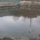 순일농장 이미지