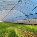 삽교읍041 이미지