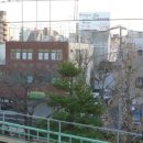 와사비 하우스(Wasabi House) 이미지