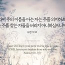 다주여행사