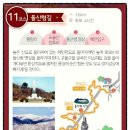 팔랑리 티스토리