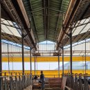 젖소목장 이미지