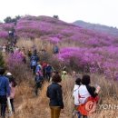순천만놀러와5 이미지