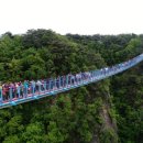 출렁다리 진입로 이미지