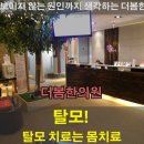 더 봄 이미지