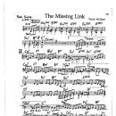 Vince Wallace / The missing link 이미지