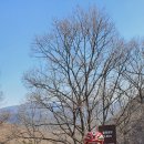 라온중고등학교 이미지