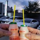 경기광주 태전동 쭈꾸미 맛집 추천, 보물섬 불쭈꾸미