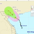 태풍 8호 접근 중, 꽝닌 성 등 베트남 동북부 폭우, 강풍 우려 주의 이미지