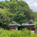 최루백 효자비각 이미지