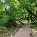 광릉숲둘레길 파이낸셜뉴스