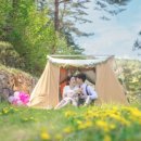 서열농장 이미지