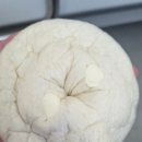 이마트24 대치휘문점 | 이마트24 신상 옹골리언트의 옹골찬 블루베리번 내돈내산 솔직 후기