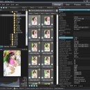 이미지, 메타정보 View - FastStone Image Viewer , ACDSee Pro Photo Manager 3 이미지