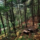 동두천자연휴양림 세미나실1 이미지