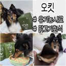 그린테일(GREENTAIL) | 강아지화식 유기농 인증 프리미엄 펫푸드 오킷 솔직후기