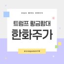 현대화슈퍼 | 트럼프 황금함대 프로젝트 한화 및 관련 계열사들 주가 전망은?