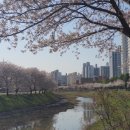 진명주유소 이미지