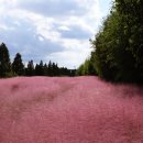 낙동강변16 이미지