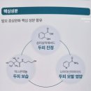 (주)라온파마 | 탈모 전문기업 라온파마 병원 탈모샴푸 추천! 라온샴푸 로 되찾는 건강한 자신감!!