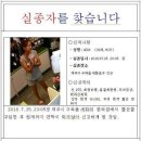 제주서 30대 가정주부 실종 5일째.. 이미지