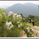 부동목장 이미지