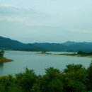 리스바베큐