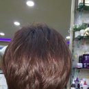 향기나라 이미지