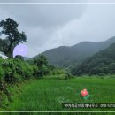 경남고성부동산 - 영현면 개울이 있는 산골 자연인 토지 농지매매 1811제곱미터 (548) 이미지