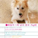 김해동물약국 이미지