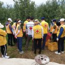 9/11일~태풍하이선으로 피해본 기계면 사과재배농가 봉사 이미지