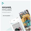 (주)컨셉터스