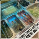 중계고기파티 이미지