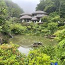 용인나무이야기 이미지