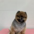 러브몽먼트 이미지