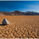 경관농장 이미지