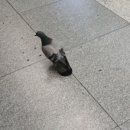 동산한의원 이미지