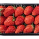 우리농원 이미지